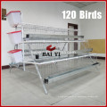 Zambia Automatic Drinker Feeder Chicken Layer Cages Factory Wholesale